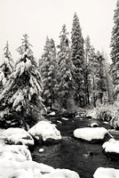 Cross Creek Winter