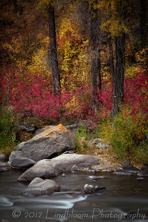 Fall on the Eagle River 203
