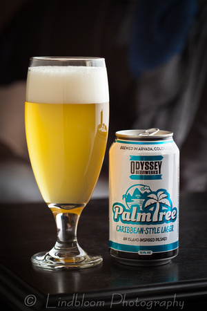 Odyssey Beerwerks Palm Tree Caribbean Style Lager