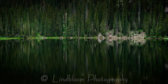 Reflections of Beaver Lake
