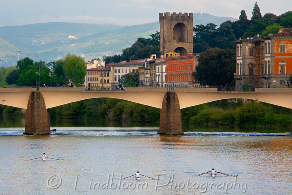 Sculling on the Arno