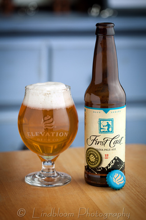 Elevation Beer First Cast IPA