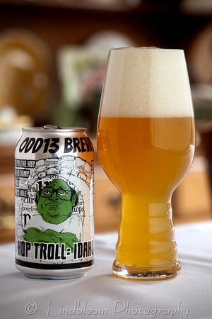 Odd 13 Brewing Hop Troll IPA