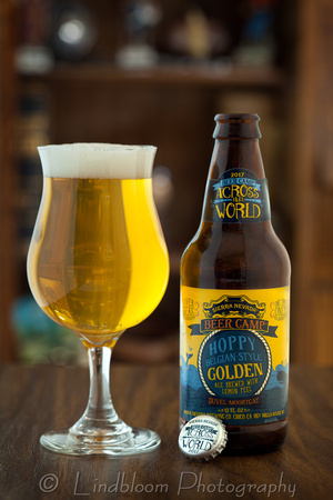 Sierra Nevada Hoppy Golden Ale
