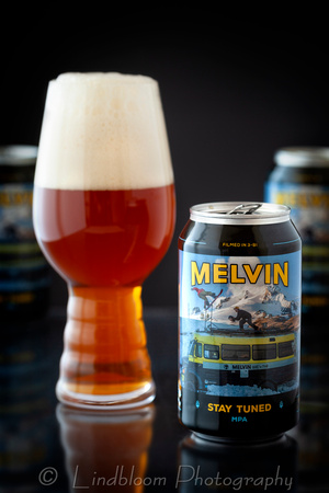 Melvin Brewing Stay Tuned IPA