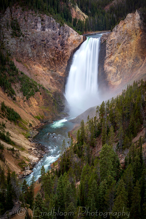 Lower Falls of Grand Canyon of the Yellowstone