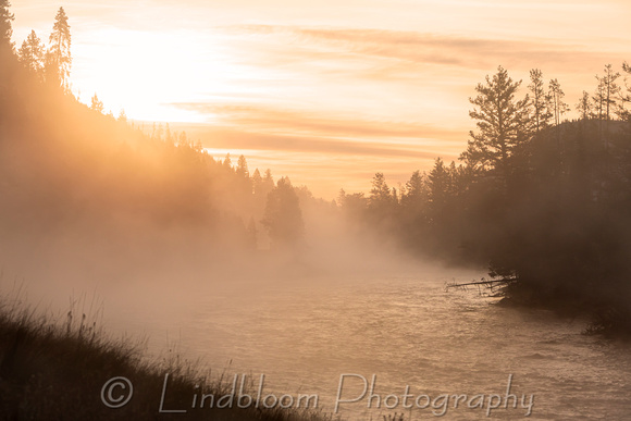 Early Morning Mist on the Madison River