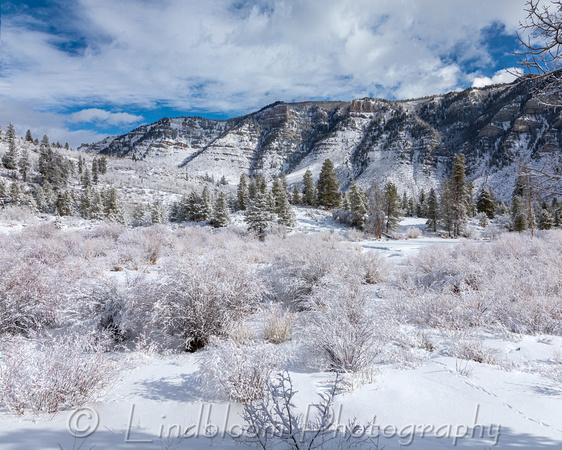 Spring Snow in Maloit Park